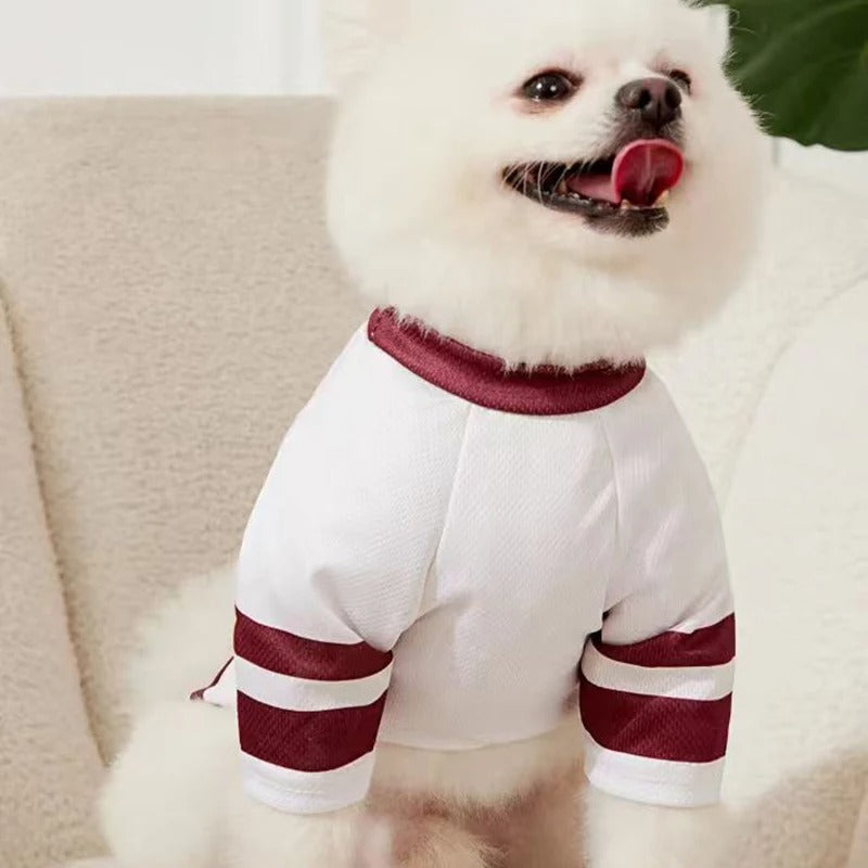 CALIFORNIA 27 Mesh Breathable Dog Jersey Basketball Clothing Teddy Sport Puppy T-Shirts Summer Pet Cat Shirts for Small Dogs