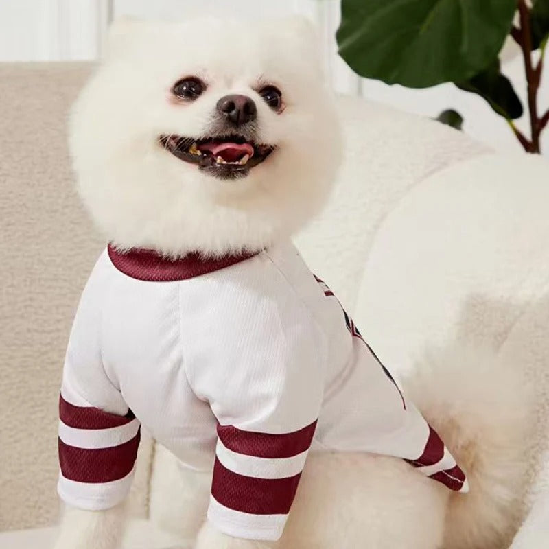 CALIFORNIA 27 Mesh Breathable Dog Jersey Basketball Clothing Teddy Sport Puppy T-Shirts Summer Pet Cat Shirts for Small Dogs